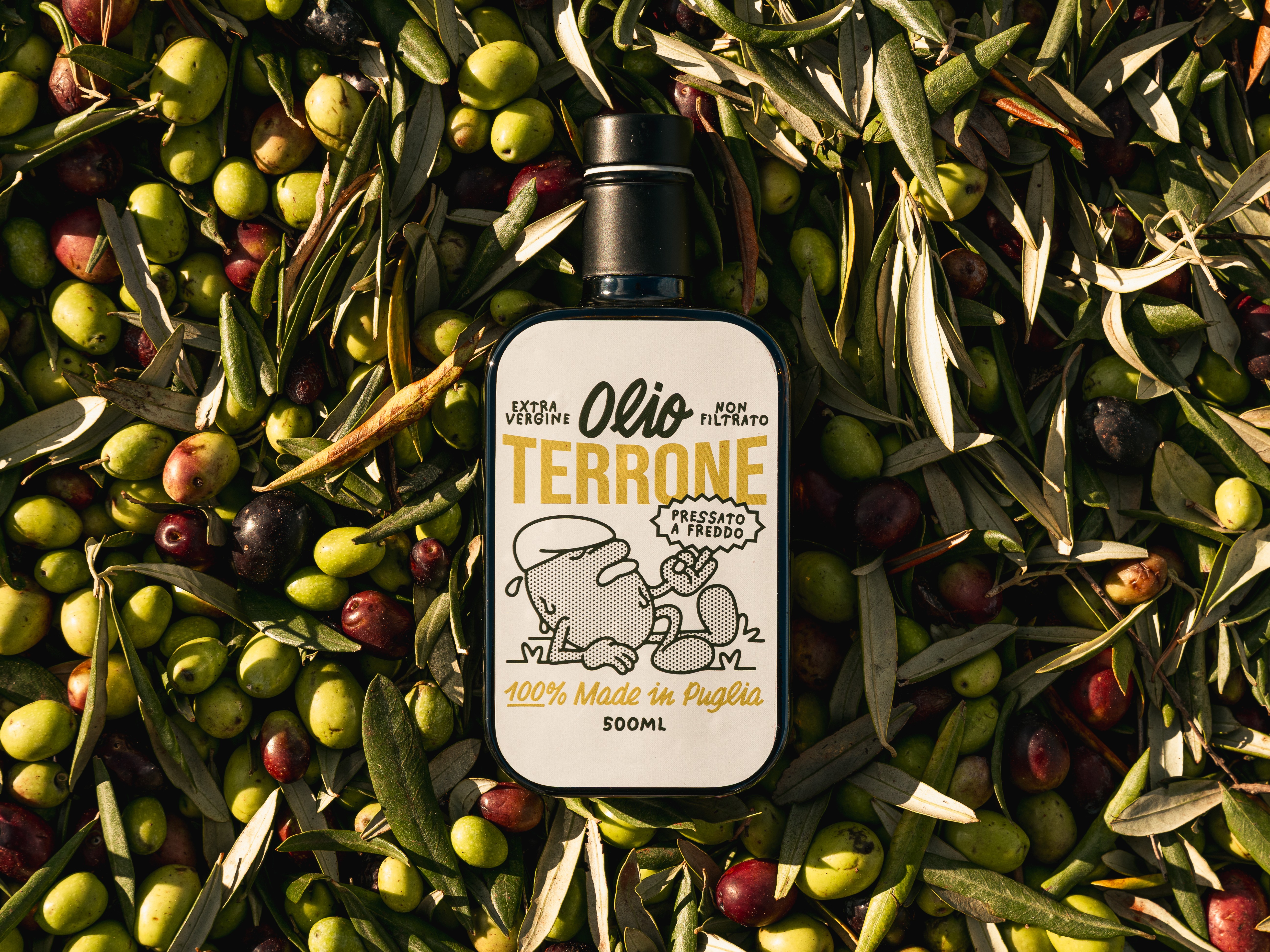 Olio Terrone logo, label and bottle